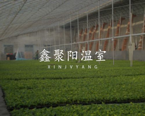 青州市鑫聚陽(yáng)溫室工程有限公司