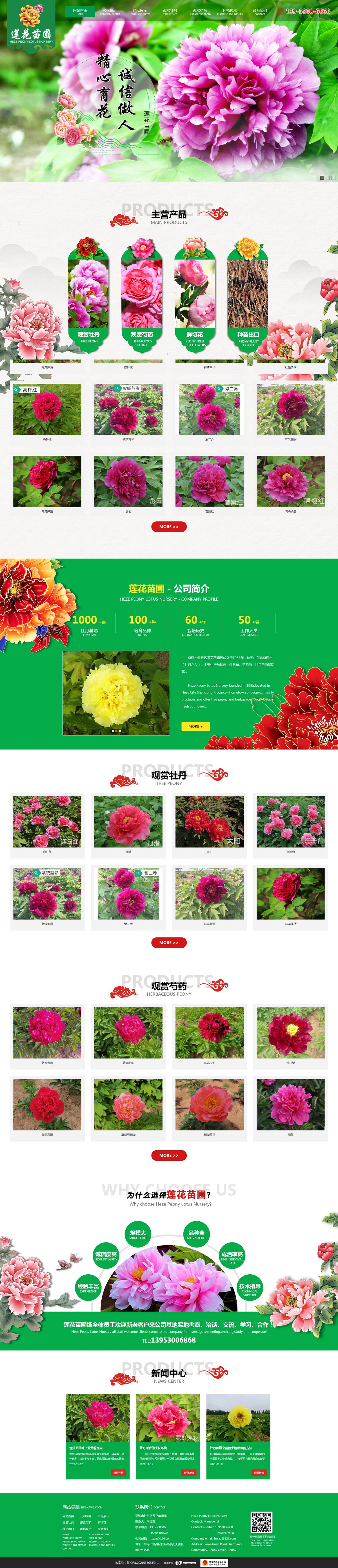 菏澤市牡丹區(qū)蓮花苗圃場(chǎng).jpg